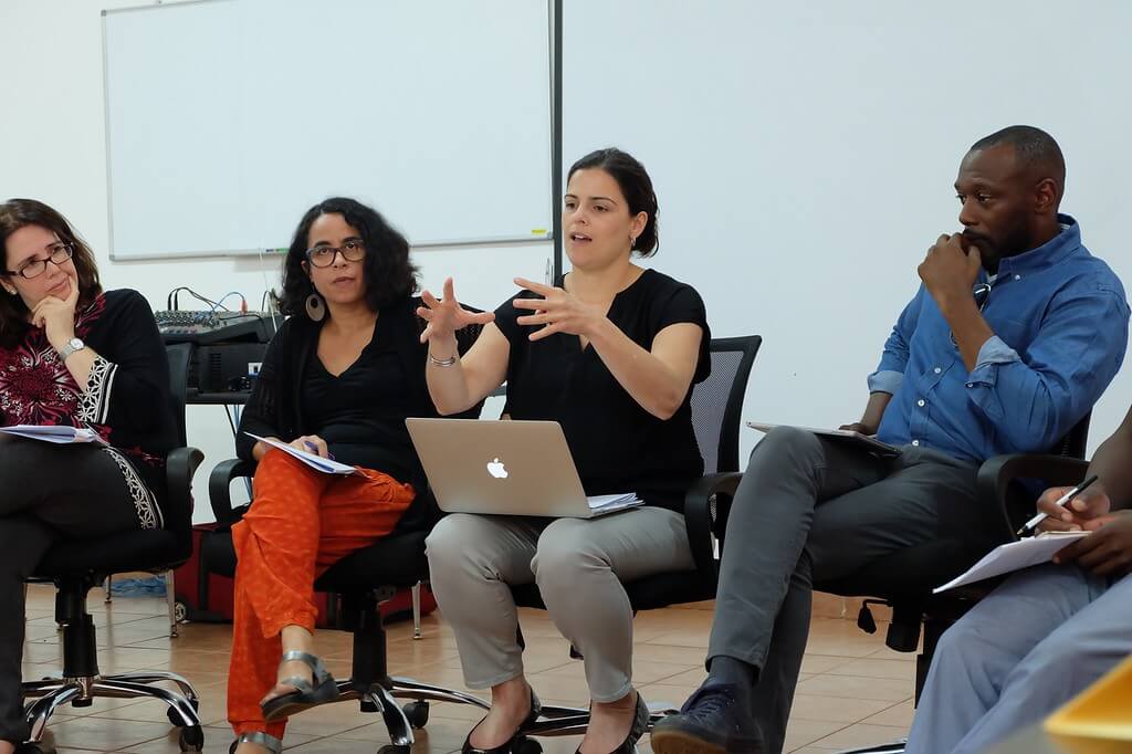 Sara Selig sitting down and speaking in front of a computer as part of the Mid-Year Convening in 2017.