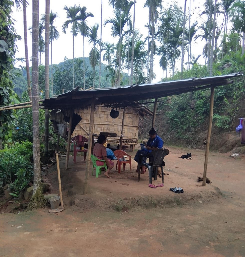 When Families Trust Traditional Healers More Than Health Workers