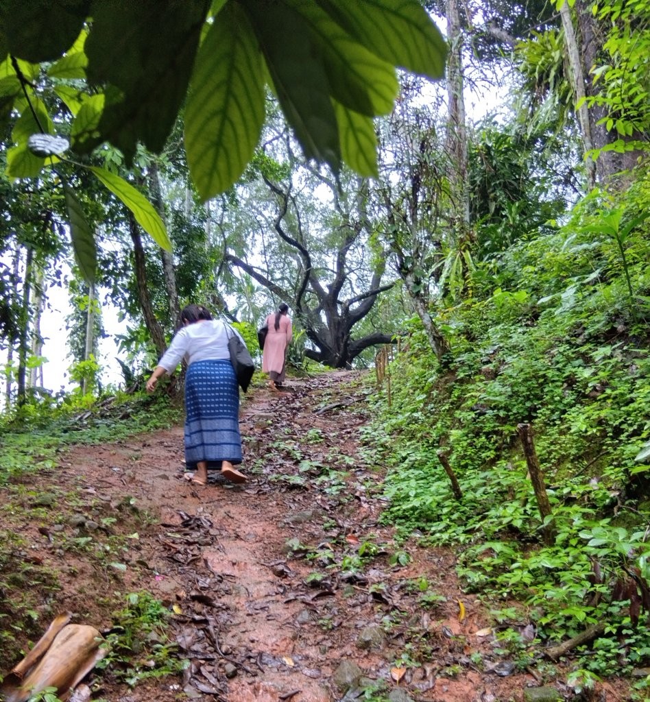 Taking Shelter from the Rain on the way to a Palliative Care Visit