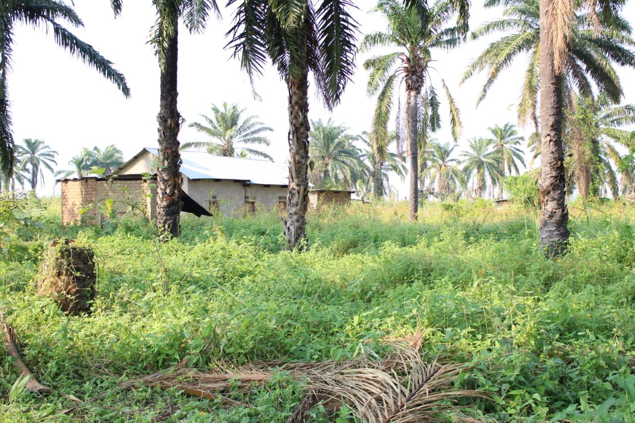 Ensuring Care Reaches Those Forced to Flee