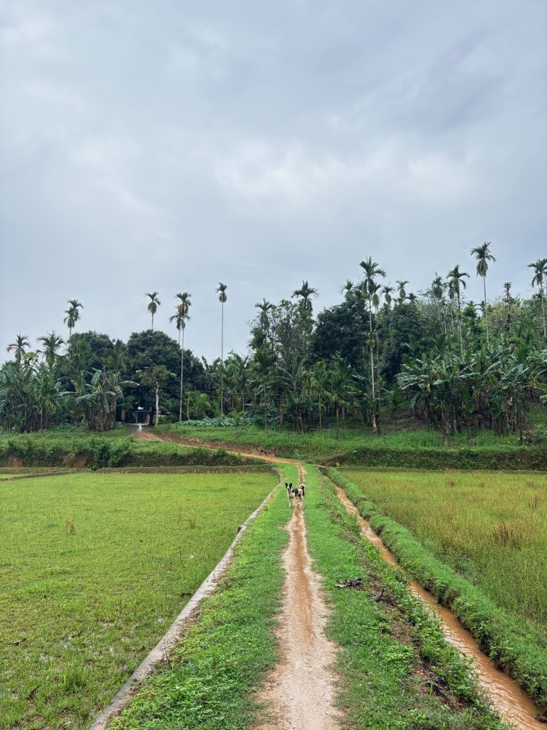 A Walk to the Village After the Rain to Map Adolescent Girls